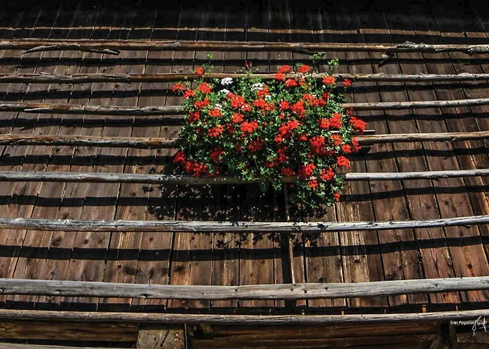 Apartma Pr' Stengarju *